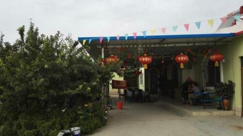 Shapotou Xujia Farm Stay