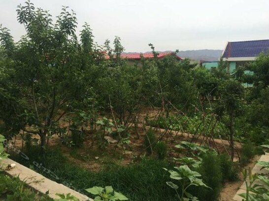 Zhongwei Shapo Nongjia Farm Stay