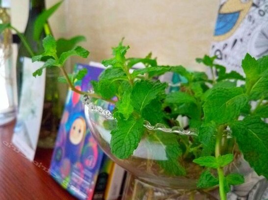Chengsi Sherlock Garden Guesthouse - Photo2