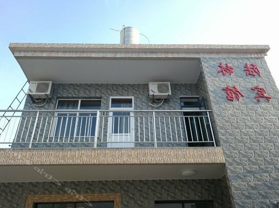 Lulin Hotel - Photo2