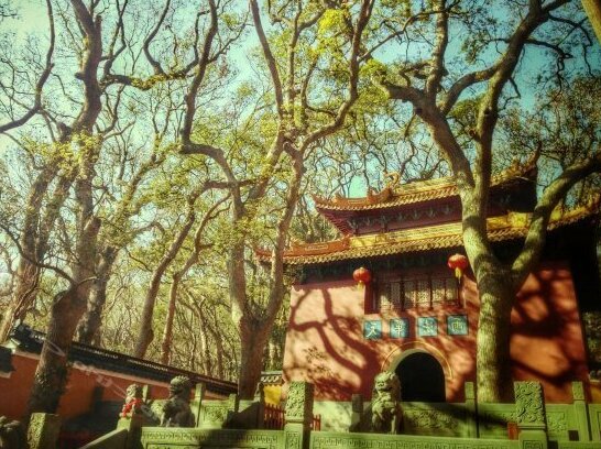 Zhoushan Putuo Mountain Buddha Farmhouse