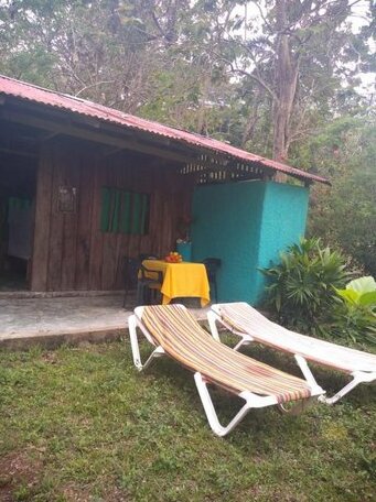 Cabanas y Camping La Palmera - Photo2
