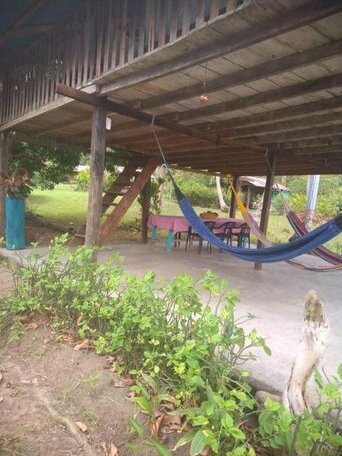 Cabanas y Camping La Palmera - Photo4