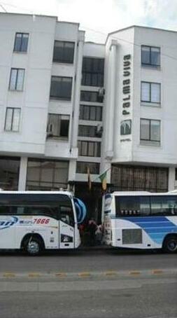 Palma Viva Hotel
