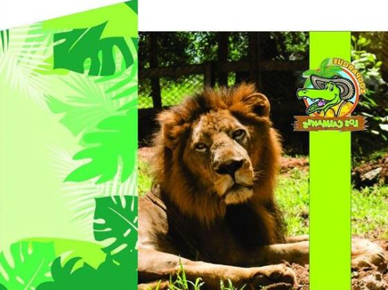 Zooparque Los Caimanes - Photo4