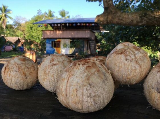 Mama Orbe Family Eco Farm - Photo4