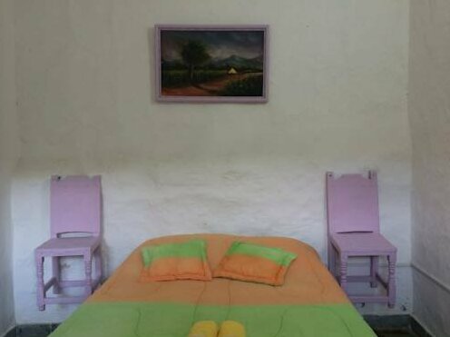 Color de Hormiga Hostel - Photo3