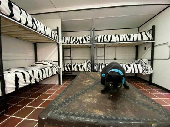 Hostal Cabras Locas - Photo2