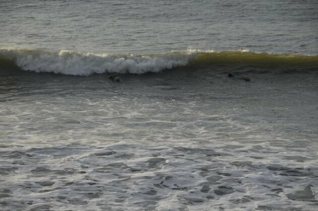 Surf House Estilo Libre