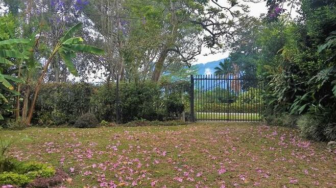 Alquiler Finca Quindio - Photo3