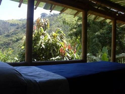 Hostel Mystic Banana - Photo4
