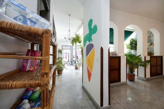 Hostal Zanahoria - Photo5