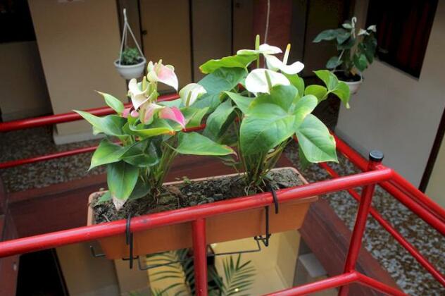 Hotel Sartor - Photo2