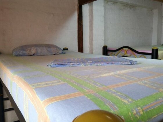 Iguana Hostel Cali - Photo4