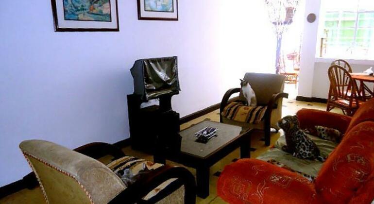 Mistella Salsa Hostel - Photo3