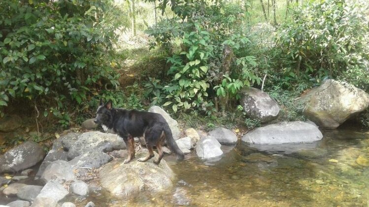 Shangri-La EcoPark - Photo2