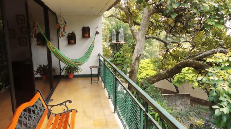 The Green House Cali - Photo2