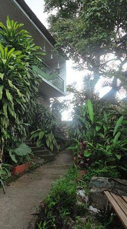 The Green House Cali - Photo3