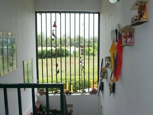 Finca El Rincon Paisa - Photo3
