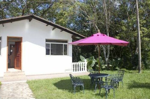Hacienda Las Margaritas - Photo3