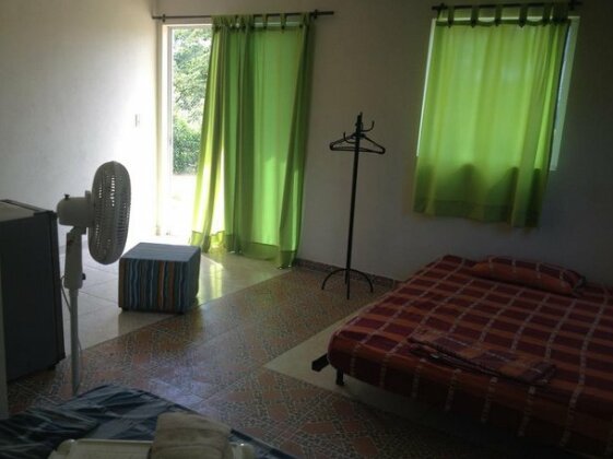 Quinta Elsoldeapicala - Photo3
