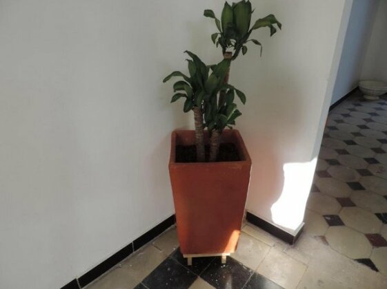 Hostal Jet-Set - Photo3