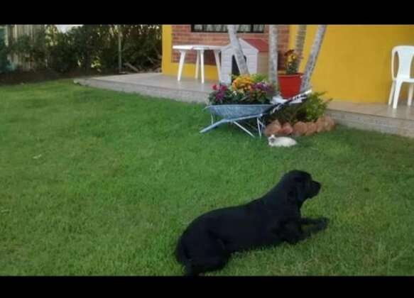 Alex Country House - Photo4