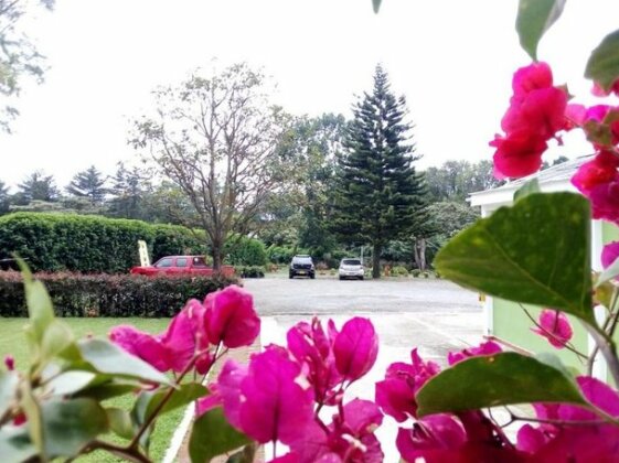 Hostal Padua - Photo2