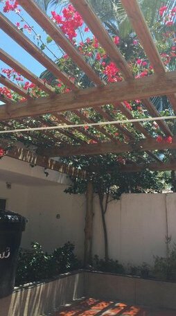 El Rincon Cienaga - Photo5