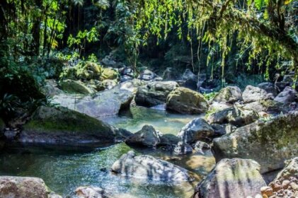 Finca Las Flores