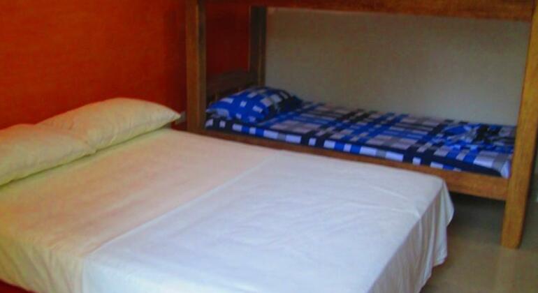 Eco Resort La Iguana - Photo3