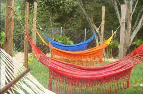 Hotel Davileja - Photo5