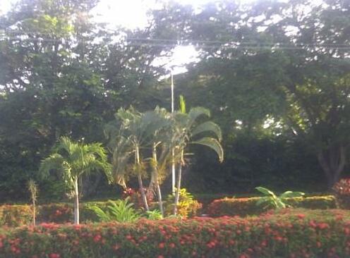 Hotel Albatros Espinal - Photo4
