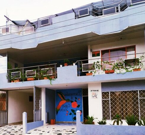 Casa Pacha