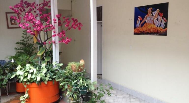 Hotel 3ra Avenida - Photo2