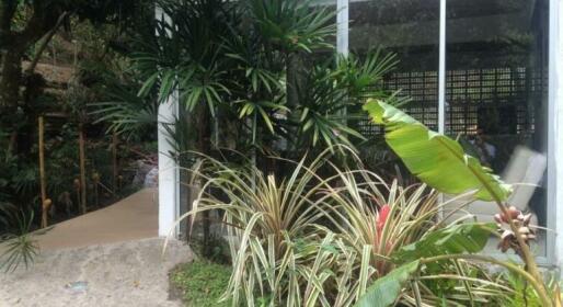 Orquideas del Tolima