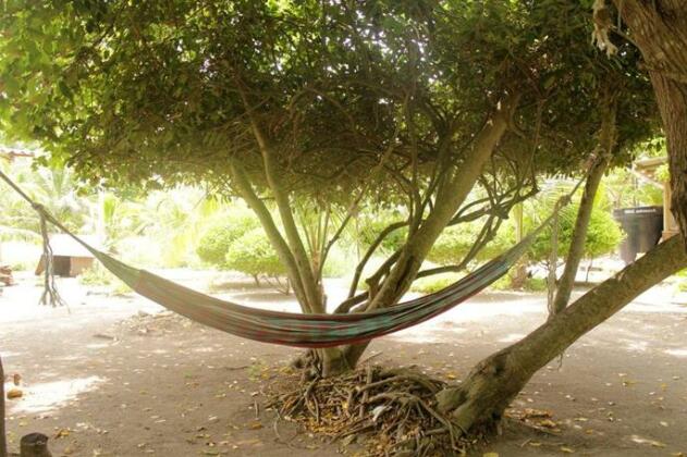 Eco Hotel Bosque Encantado - Photo2