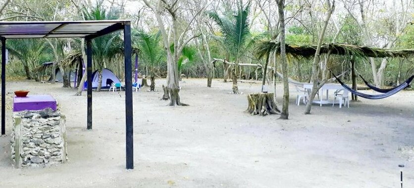 Ecocamping el frutal