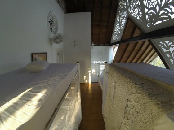 Golden Frog Hostels - Photo2
