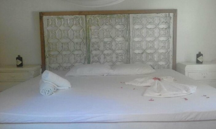 Golden Frog Hostels - Photo4