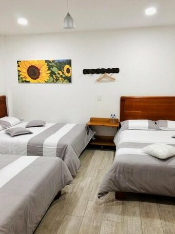 40 Amigos Hotel - Photo5
