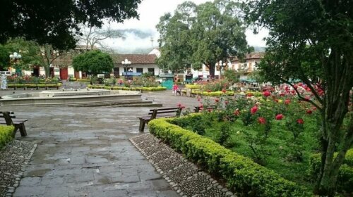 Balcones del Parque Jardin