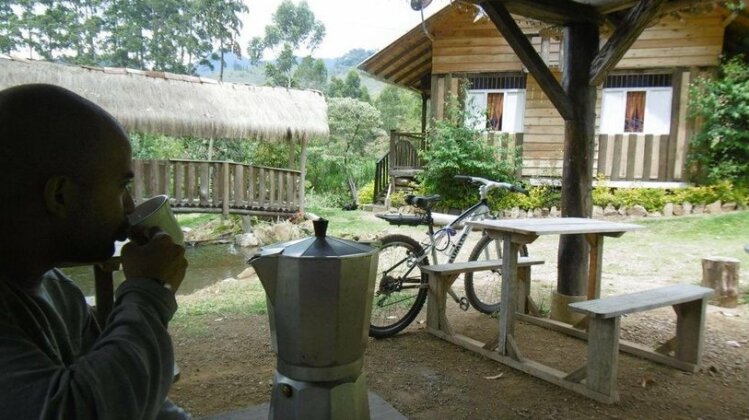 Hostal Selva y Cafe