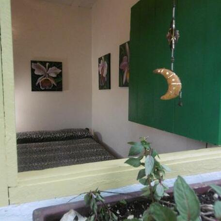 Hostal Selva y Cafe - Photo4