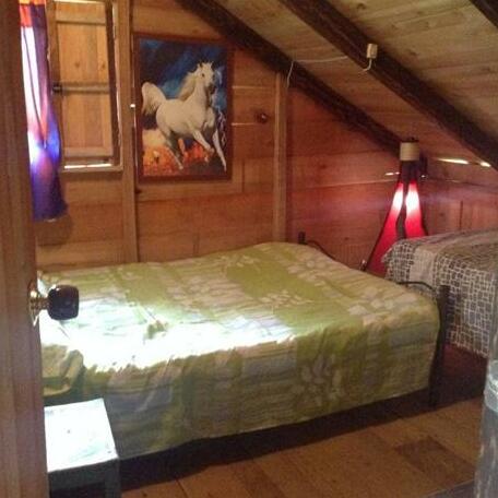Hostal Selva y Cafe - Photo5
