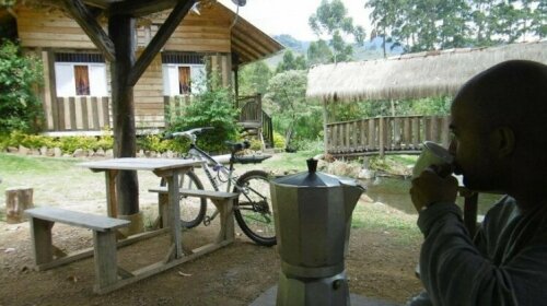 Hostal Selva y Cafe
