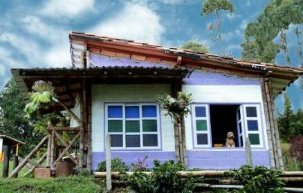Cabanas y Flores