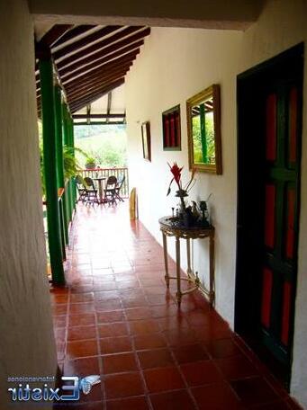 Eco Suits Verdes - Photo2