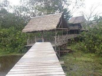 Reserva Indigena Irapay - Amazonas