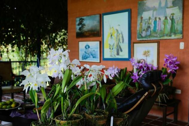 Finca Romelia Orchids and Birds - Photo3